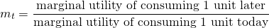 $$m_t = \frac{\textrm{marginal utility of consuming 1 unit later}}{\textrm{marginal utility of consuming 1 unit today}}$$